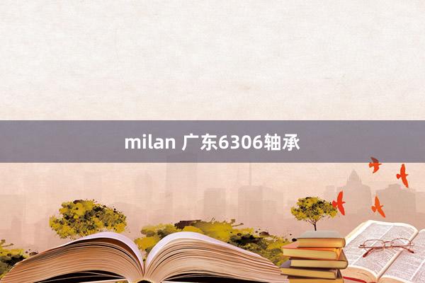 milan 广东6306轴承