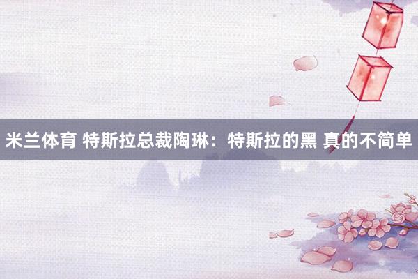 米兰体育 特斯拉总裁陶琳：特斯拉的黑 真的不简单