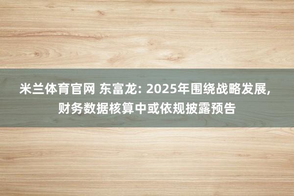 米兰体育官网 东富龙: 2025年围绕战略发展, 财务数据核算中或依规披露预告
